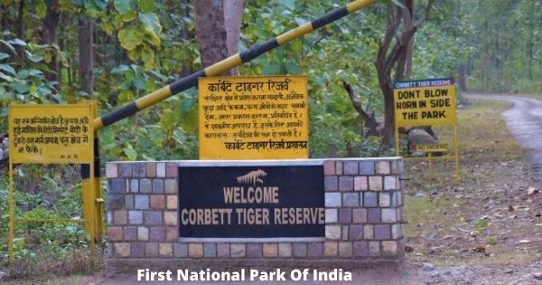 First National Park Of India